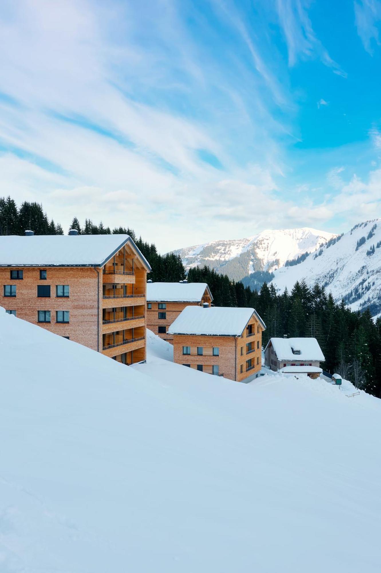Alpenstolz Damuels Haus 3 - Stilvoll Urlauben In Den Bergen Apartment Bagian luar foto